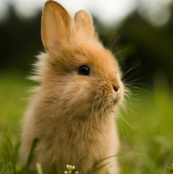 Meet your Posher, Jennifer - Picture 1 of 1